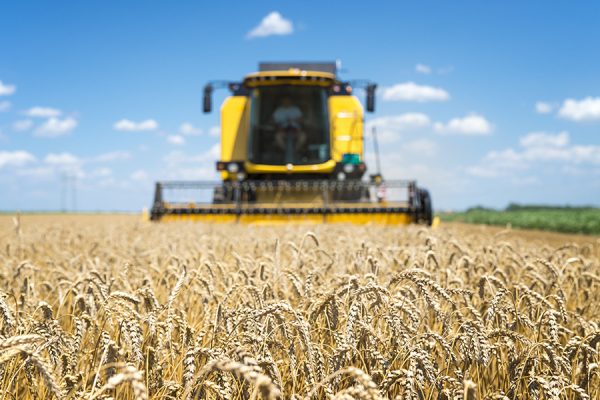 Combine harvester working in the field.