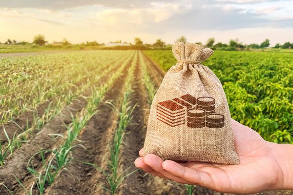 The farmer holds a money bag on the background of plantations. Lending and subsidizing farmers. Grants and support. Profit from agribusiness. Land value and rent. Taxes taxation. Agricultural startups